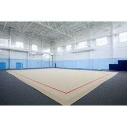 Тренировочный ковер 10х10м (гимнастический)